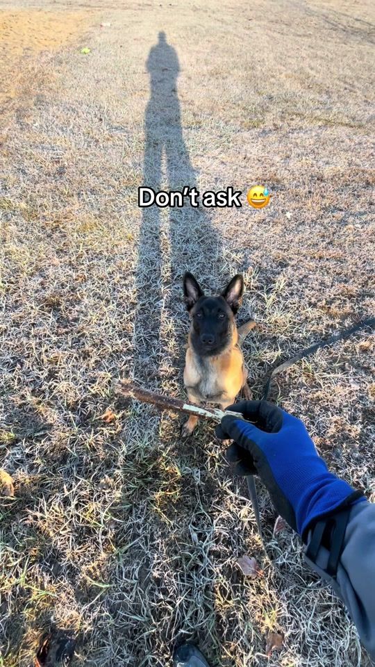 TikTok video thumbnail by modestas111