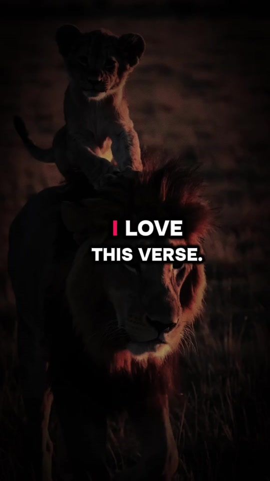 TikTok video thumbnail by motivationabo