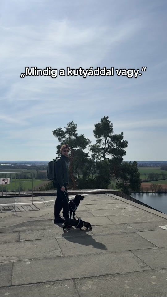 TikTok video thumbnail by 2blackdogsview