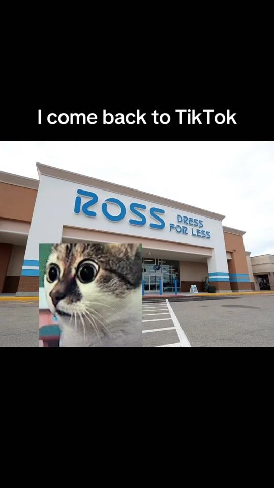 TikTok video thumbnail by catkitty398