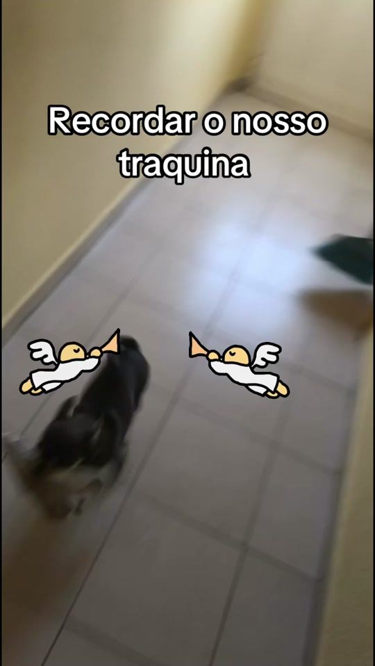 TikTok video thumbnail by barbosafernandes50