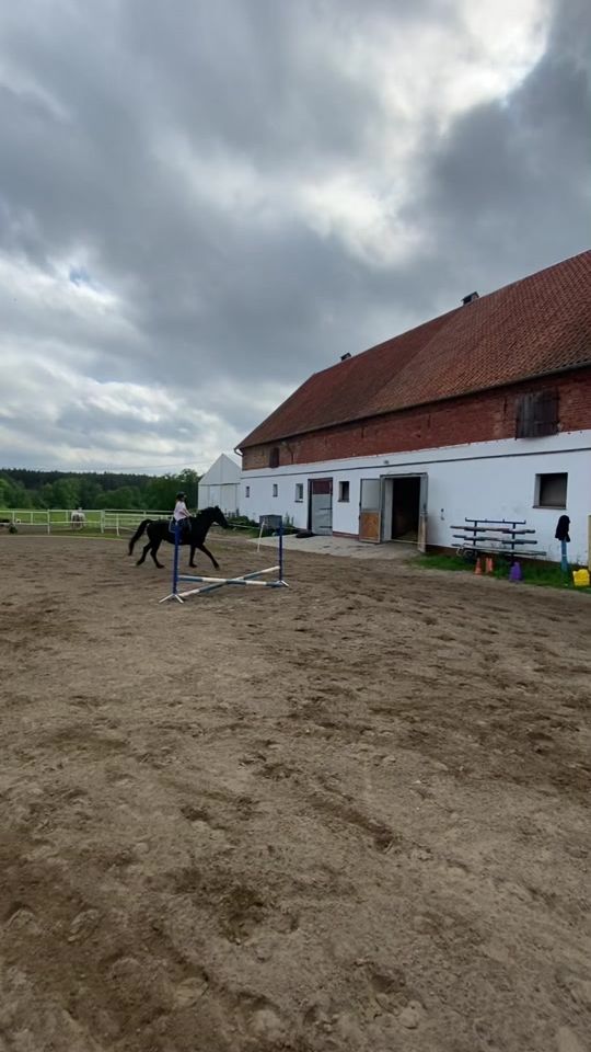 TikTok video thumbnail by equestrian_klosinska_n