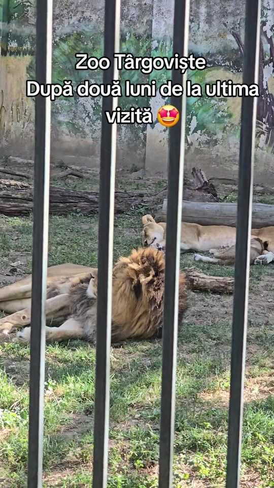 TikTok video thumbnail by s_i_l_v_i_u