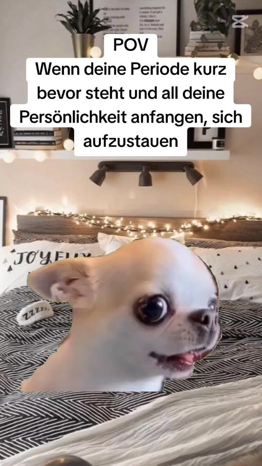 TikTok video thumbnail by its_.not_funny