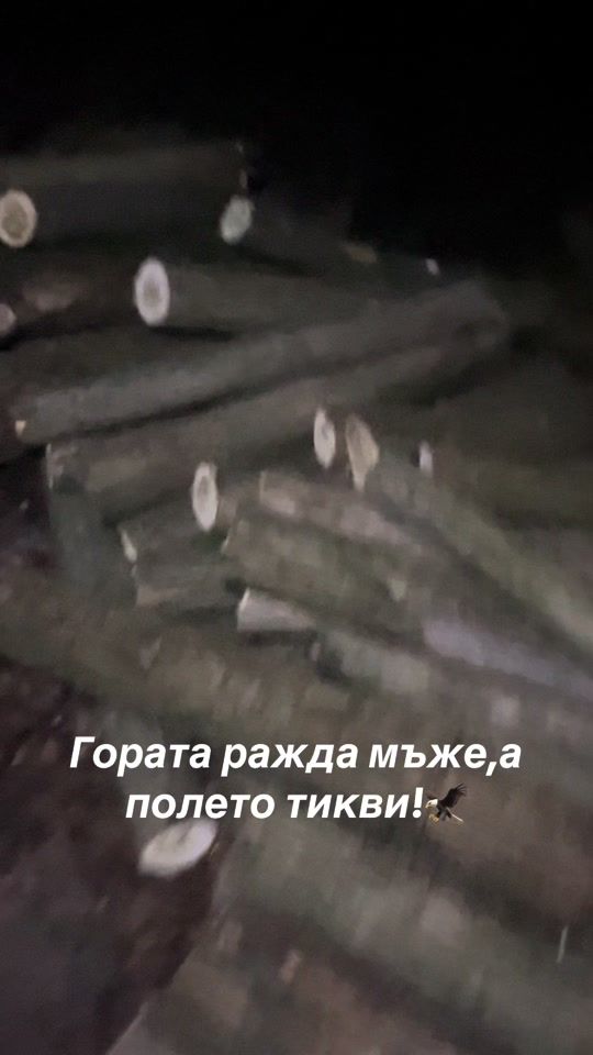 TikTok video thumbnail by d_iliev69