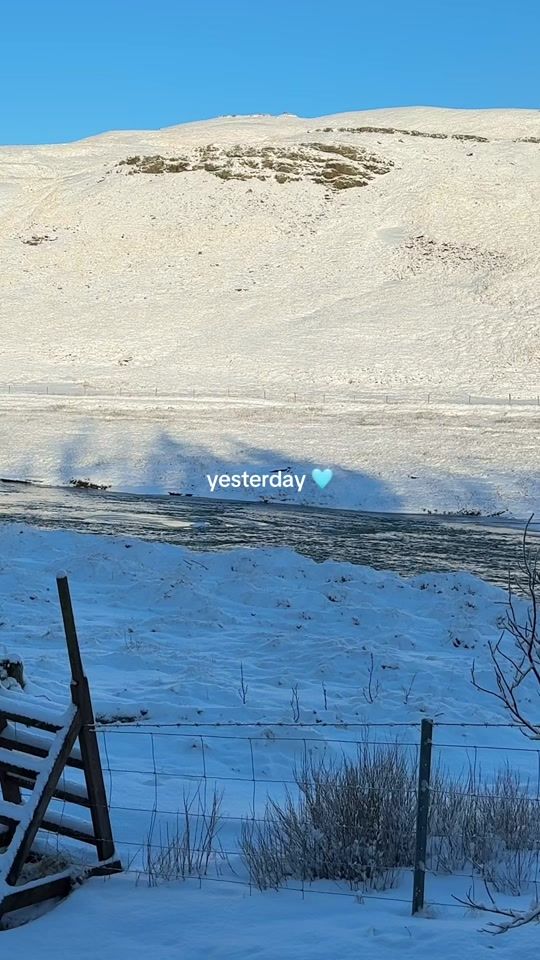 TikTok video thumbnail by gudrunsortveit