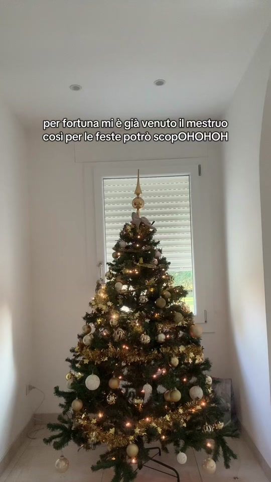 TikTok video thumbnail by sallysaccarola