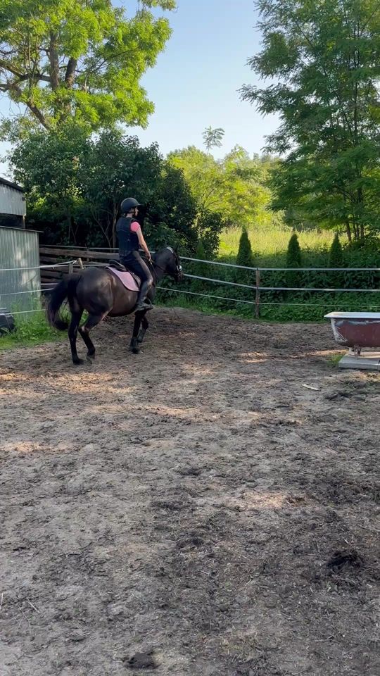 TikTok video thumbnail by zuzaa_horses