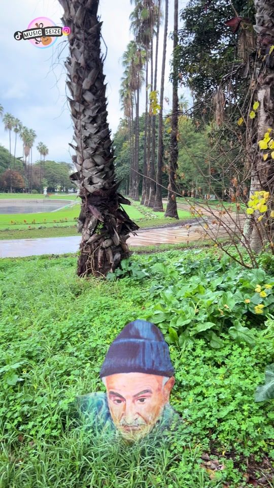 TikTok video thumbnail by music.seize