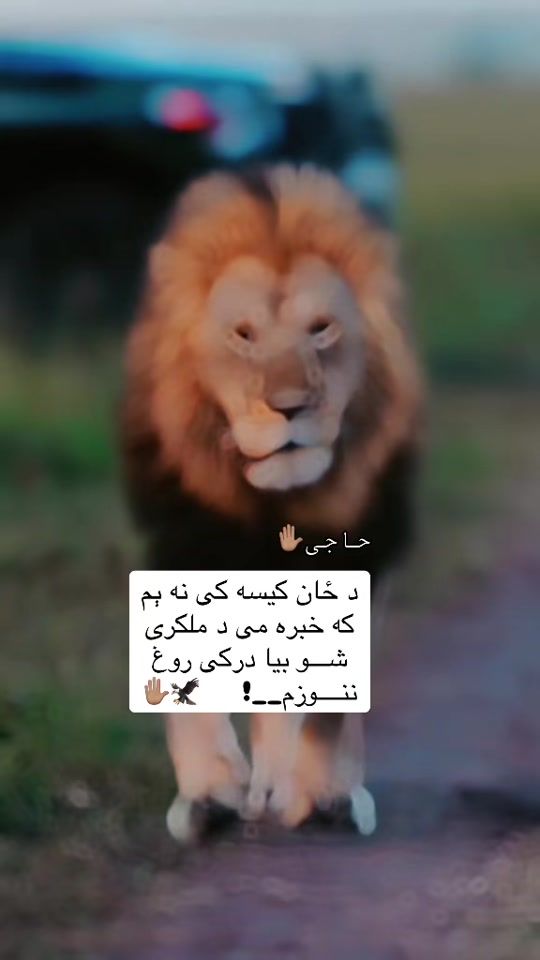 TikTok video thumbnail by omar.khan306