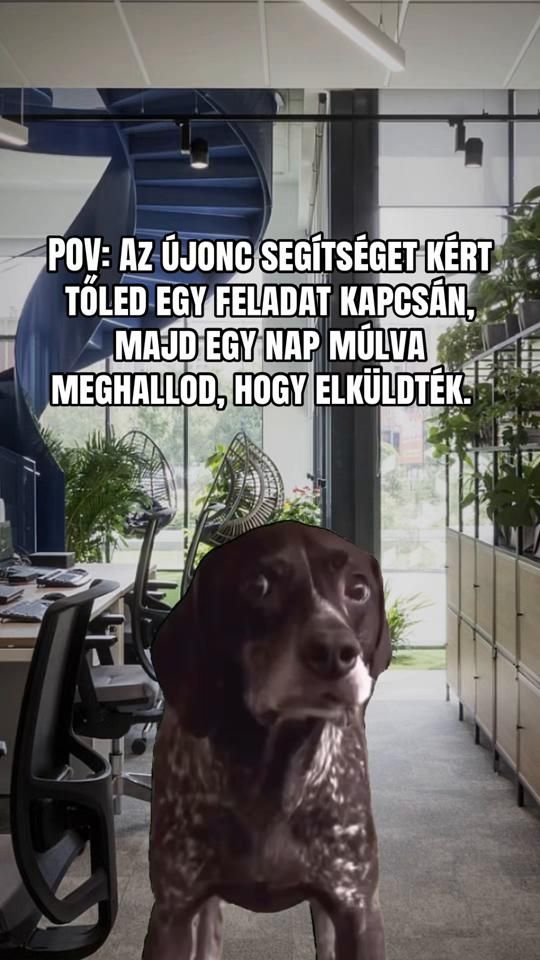 TikTok video thumbnail by cashflow_magnes