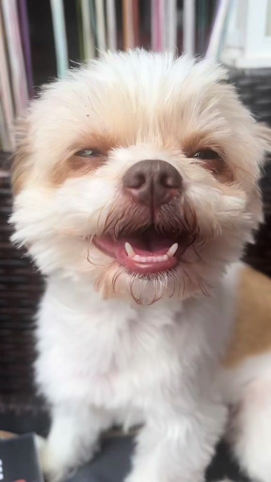 TikTok video thumbnail by prinzluki