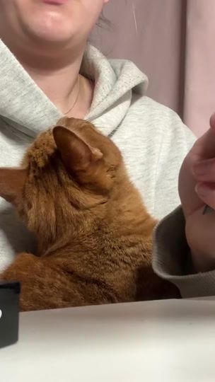 TikTok video thumbnail by anniskaner