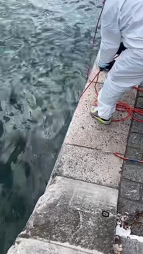 TikTok video thumbnail by ludovicf_off