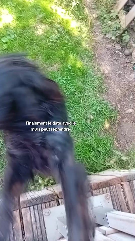 TikTok video thumbnail by sulyvanonninja