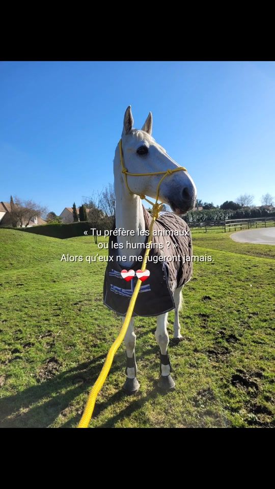 TikTok video thumbnail by aurliefebrer