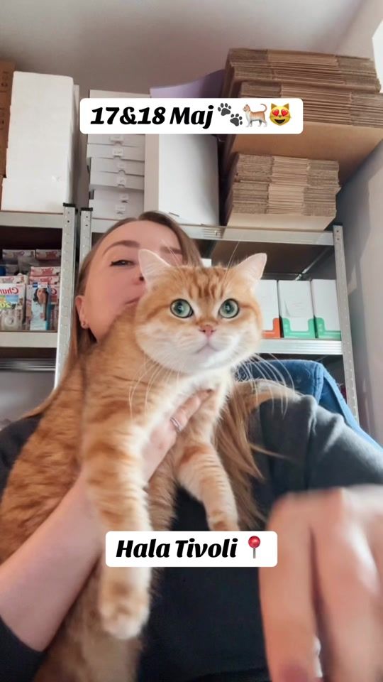 TikTok video thumbnail by macjamati.si