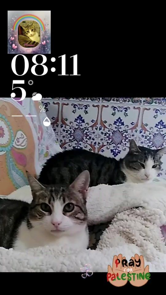 TikTok video thumbnail by cleogata13