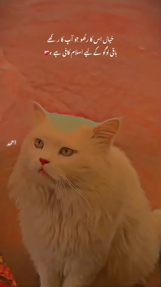 TikTok video thumbnail by ahmi.a0