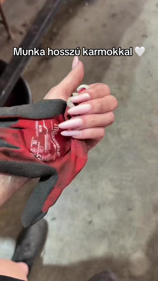 TikTok video thumbnail by alexabym_