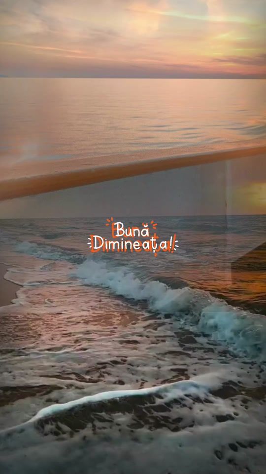 TikTok video thumbnail by venutadinu