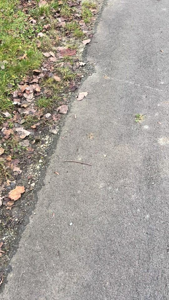 TikTok video thumbnail by truckspotterth