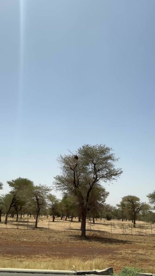 TikTok video thumbnail by boubacar.mainass