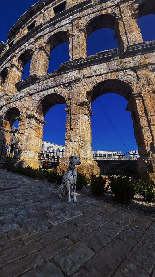 TikTok video thumbnail by ane23_06