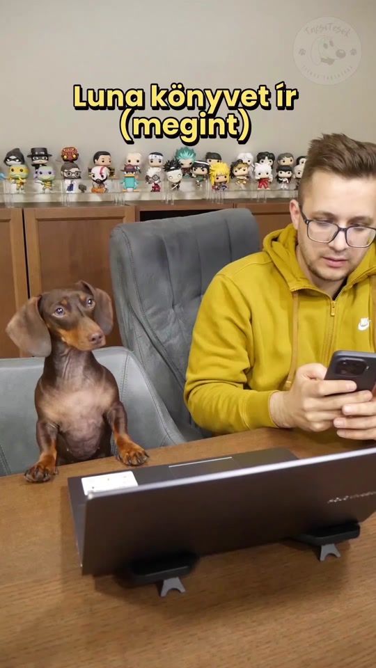 TikTok video thumbnail by gabor.bessenyei