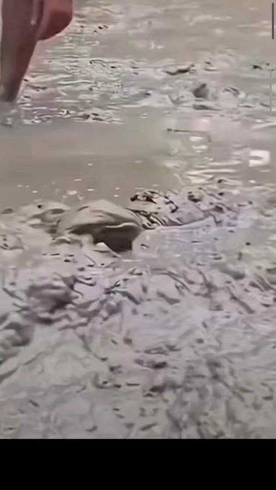 TikTok video thumbnail by vidosik_ot_sava