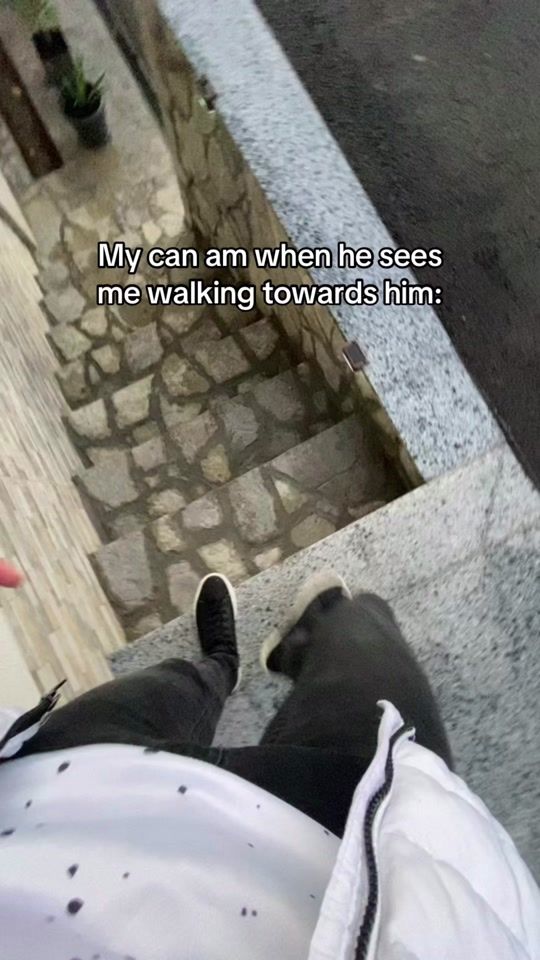 TikTok video thumbnail by renegade_guy