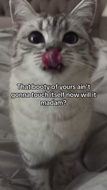 TikTok video thumbnail by alice.cattok