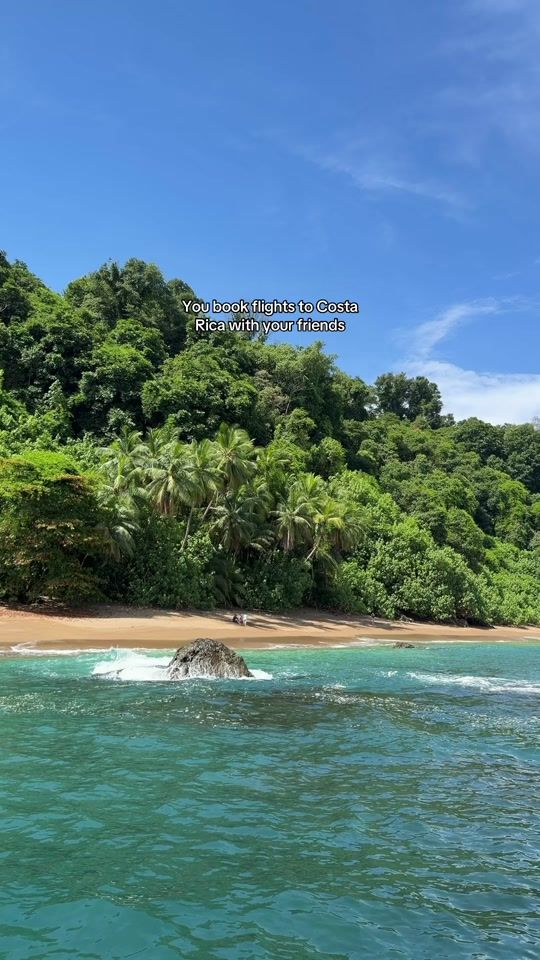 TikTok video thumbnail by bluebananabrand