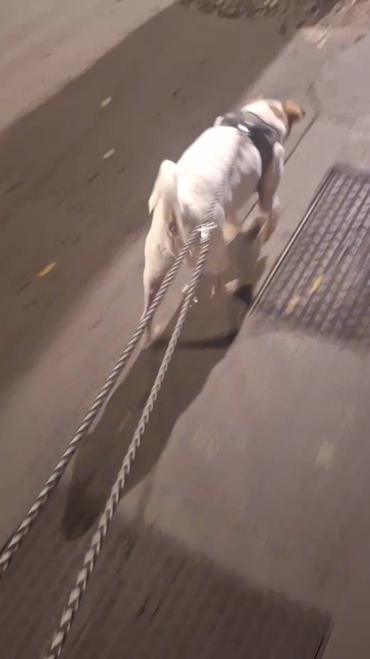 TikTok video thumbnail by oquetuquerias.sei.eu