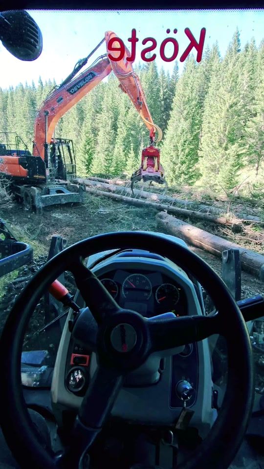 TikTok video thumbnail by johannsteindl