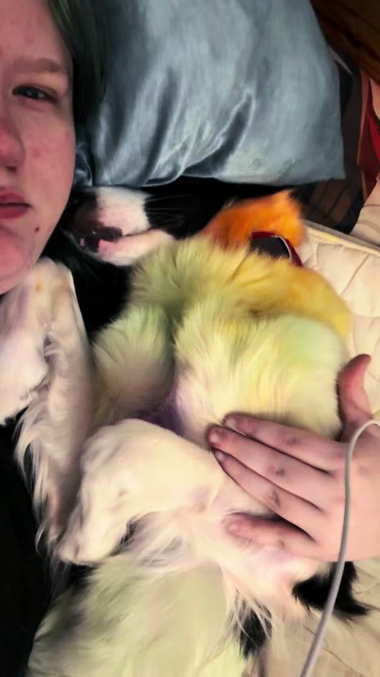TikTok video thumbnail by teamcreeperz