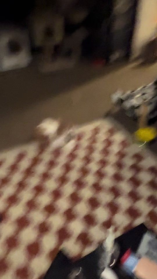 TikTok video thumbnail by omdkitties
