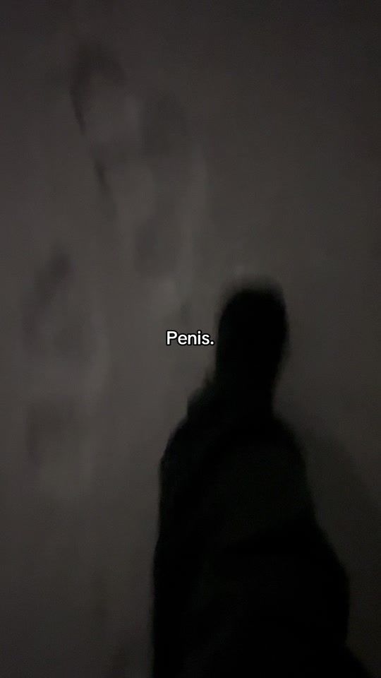 TikTok video thumbnail by winter_202425