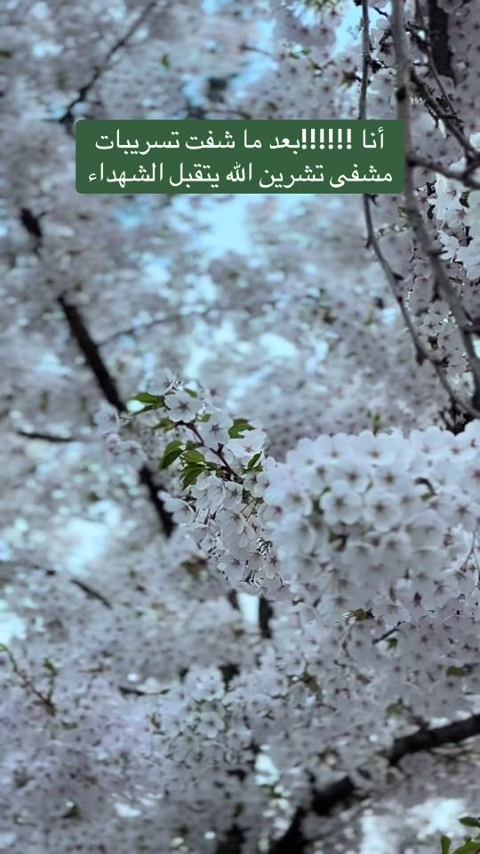 TikTok video thumbnail by hanin757