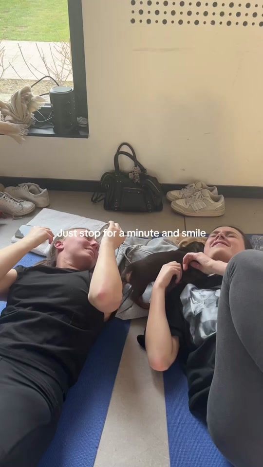 TikTok video thumbnail by puppyyogalille