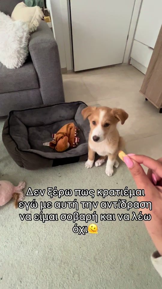 TikTok video thumbnail by nancy_kristal
