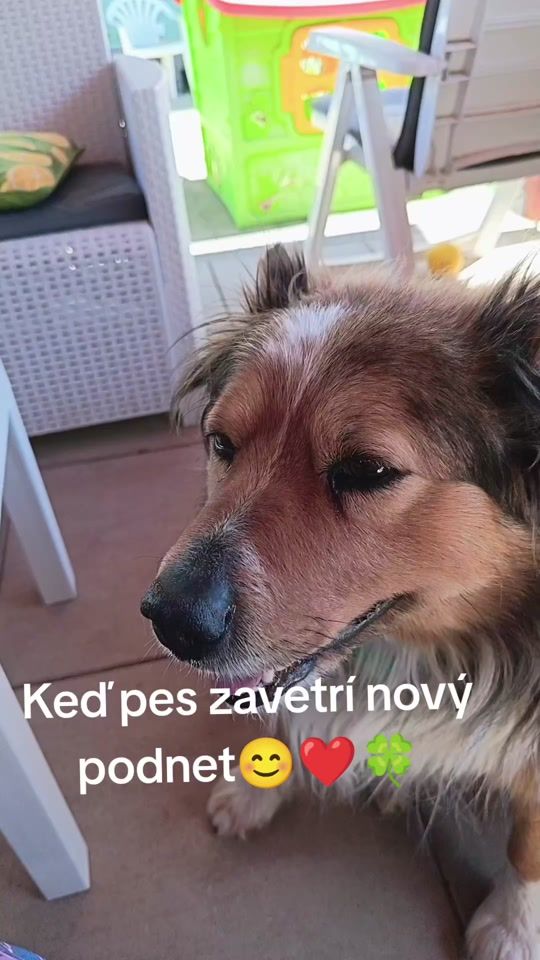 TikTok video thumbnail by admajka