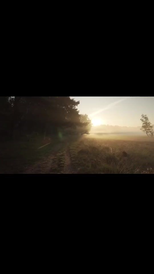 TikTok video thumbnail by karb0nadas