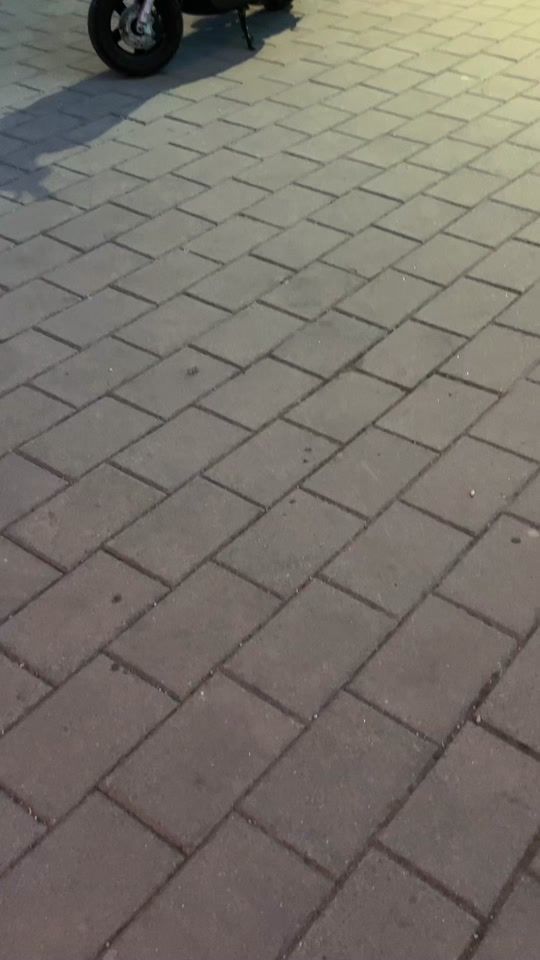 TikTok video thumbnail by mare.on.top1