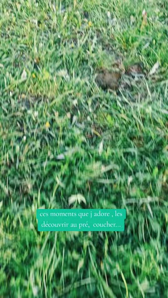 TikTok video thumbnail by ada.5spirits