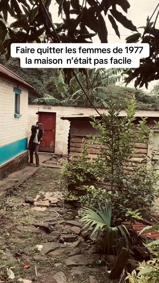 TikTok video thumbnail by mr.politike_de.bk