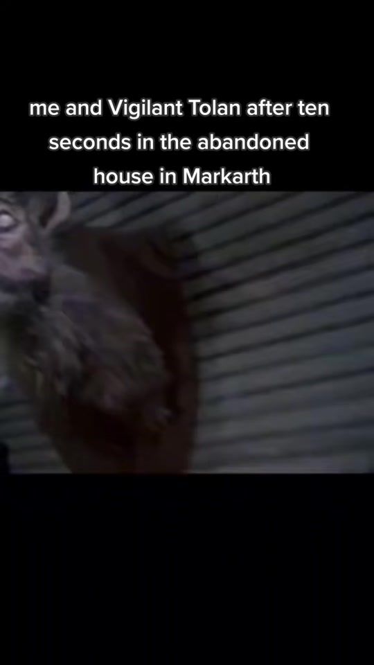 TikTok video thumbnail by stormcloak_pete