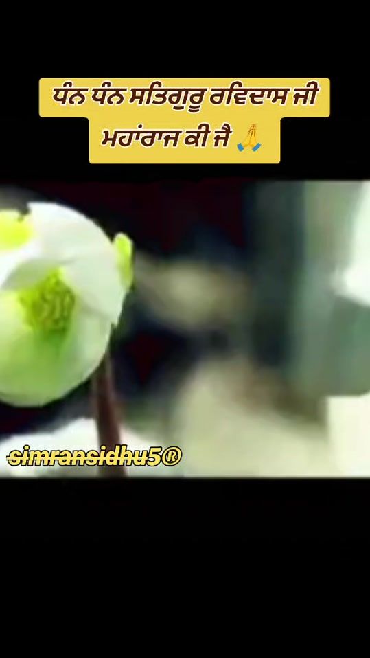 TikTok video thumbnail by simran.sidhu5