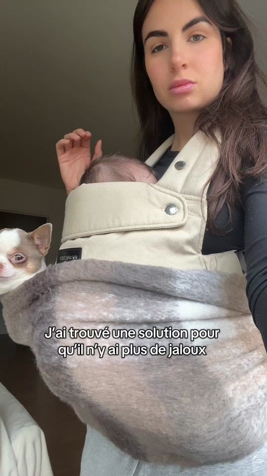TikTok video thumbnail by dogsandcoco