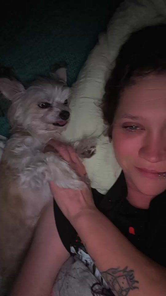 TikTok video thumbnail by lissylein8690